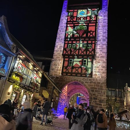 Appartement Chaleureux Vue Sur Centre Historique Riquewihr Kültér fotó