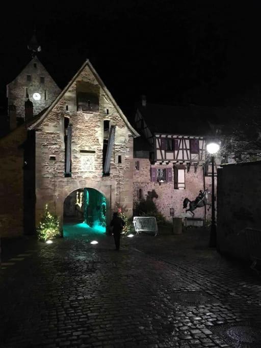 Appartement Chaleureux Vue Sur Centre Historique Riquewihr Kültér fotó